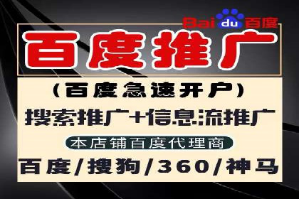 SEM主管实战技巧：案例分享与解读